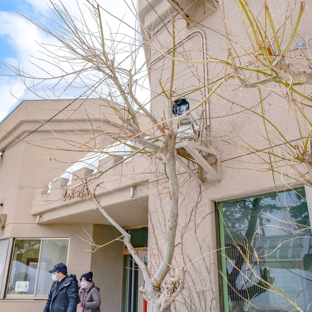 冬の円山動物園・ビーバー館