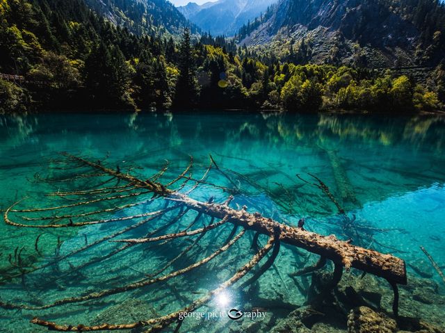 Picturesque Jiuzhaigou
