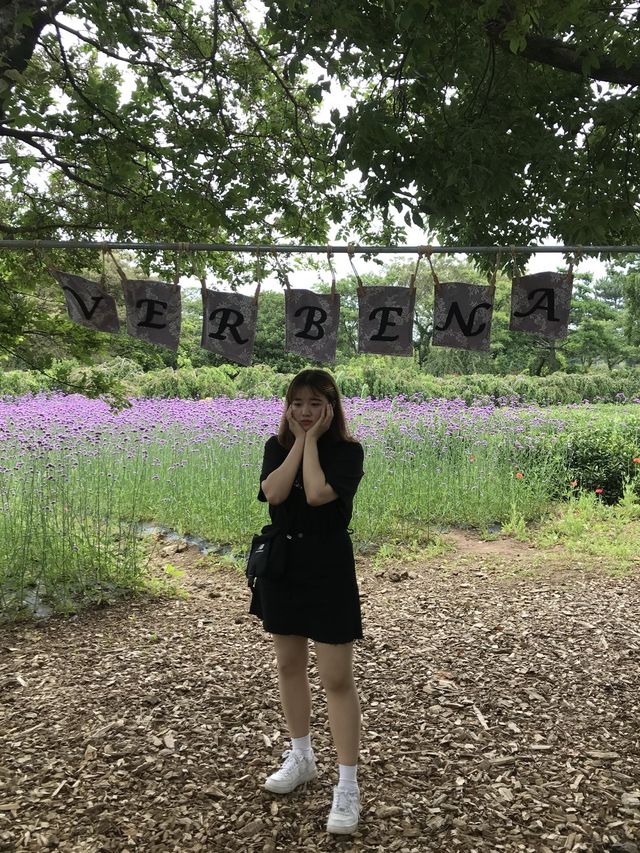 꽃구경 잔뜩하고 인생샷 건지기 “노리매테마파크”