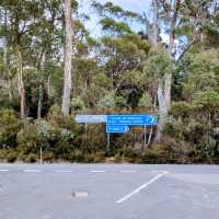 Hitchhiking in Tasmania