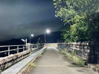 夜遊大欖水塘