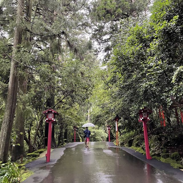 雨の中でも神々く紫陽花も綺麗な箱根神社
