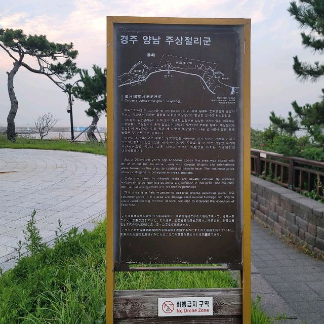 경주여행 양남 주상절리
