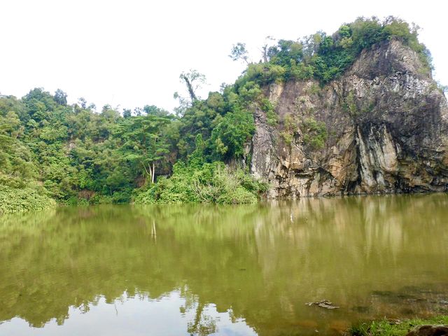 Calming Nature Park