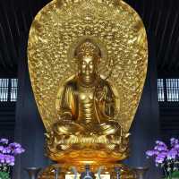 大埔地標慈山寺🙏🏻放假好去處‼️了解佛教之地