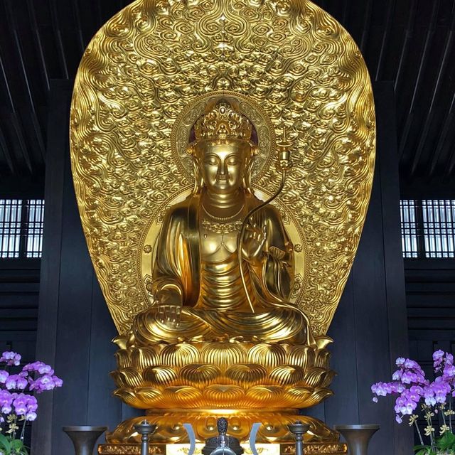 大埔地標慈山寺🙏🏻放假好去處‼️了解佛教之地