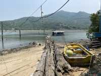 陰澳浮水木頭路