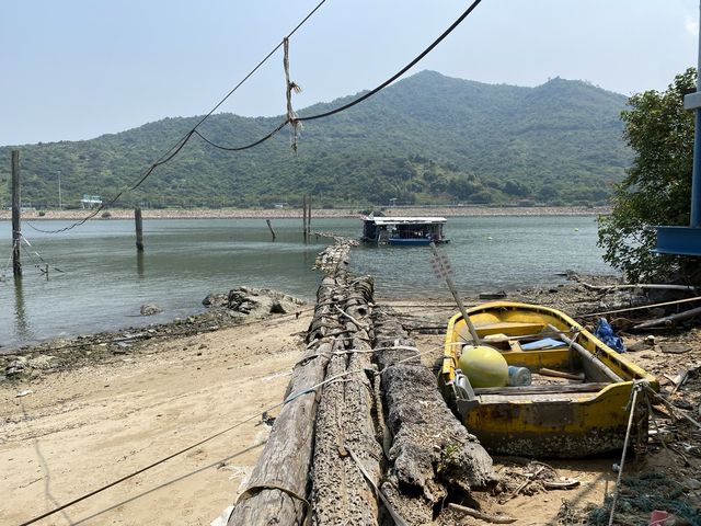 陰澳浮水木頭路
