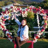 On top of the 'world' at Apo Flower Garden
