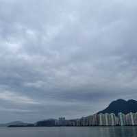 大埔科學園Tea