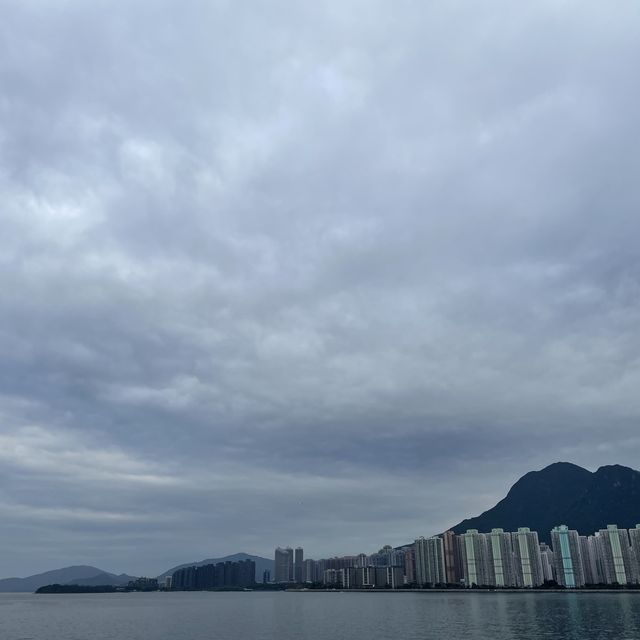 大埔科學園Tea