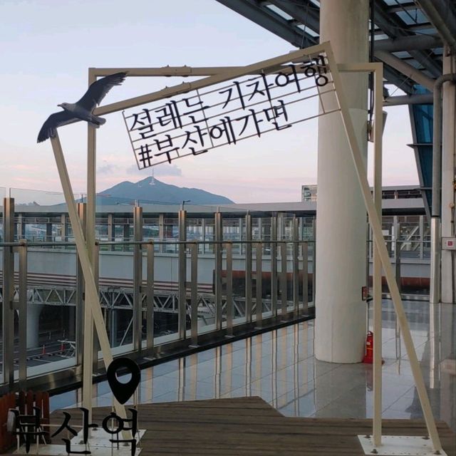 맛있는 음식이 가득한 부산으로 여행을 가보자