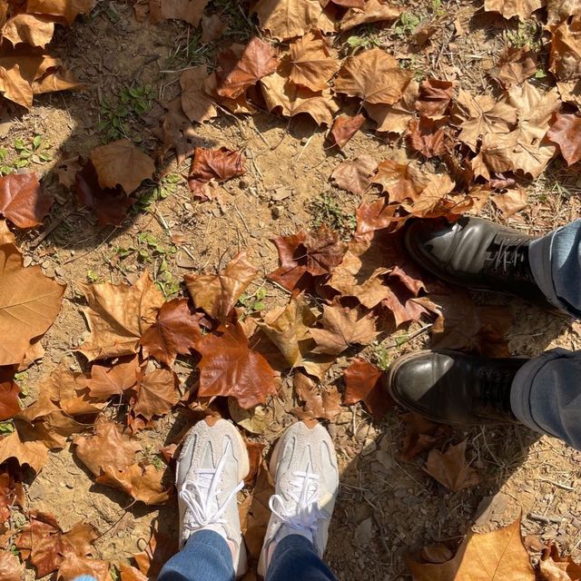 Autumn in Seoul Olympic Park
