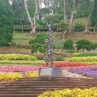 ชมดอกไม้.. ที่สวนแม่ฟ้าหลวง​