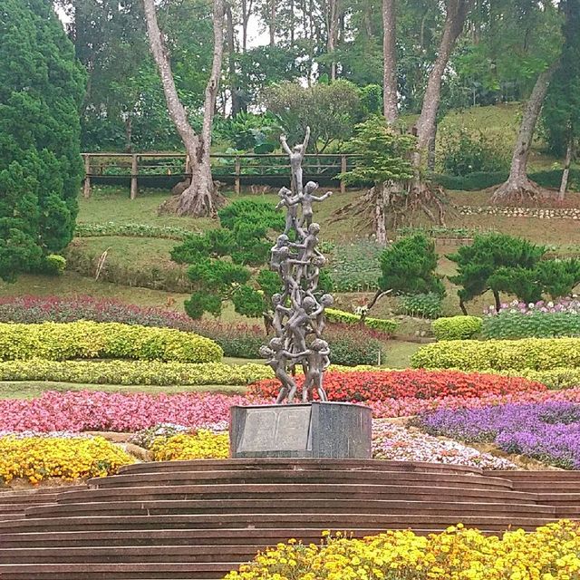 ชมดอกไม้.. ที่สวนแม่ฟ้าหลวง​