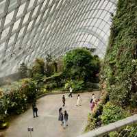 ICONIC Cloud Forest-Singapore