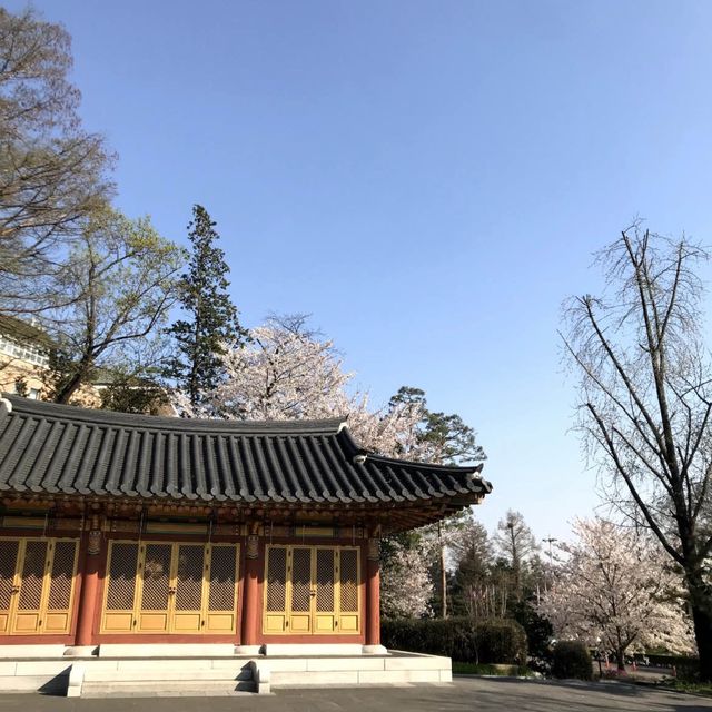 韓国/ソウル【江西区】お庭が広い💚とても素敵なホテルでいただくアフタヌーンティー🍰✨