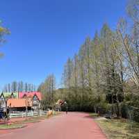 親子旅遊必到景點 - 九州自然動物園