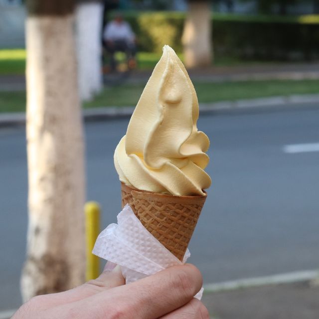 羅馬尼亞美食回憶錄