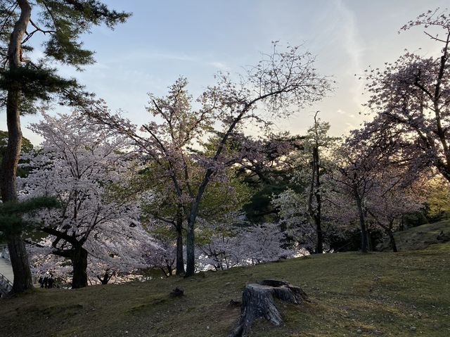 鷺池