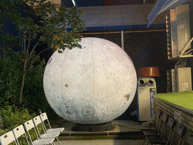 인천ㅣ인천사람이 추천하는 월미도오면 꼭 가봐야 하는 쭈꾸미 맛집, 달쭈꾸미