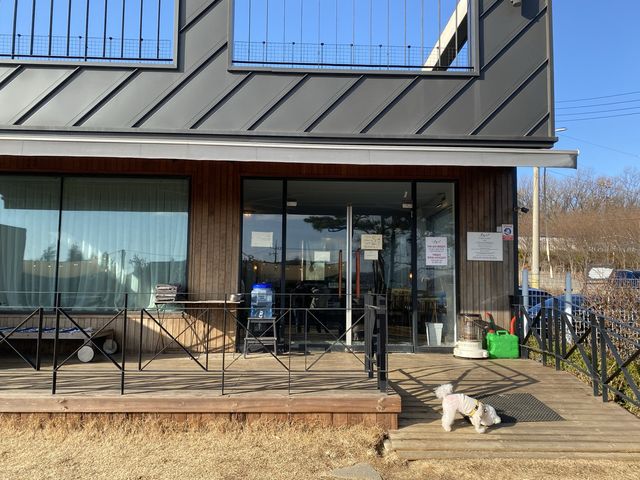 강화ㅣ넓은 야외 테라스와 루프탑이 있는 애견카페, 흐노니