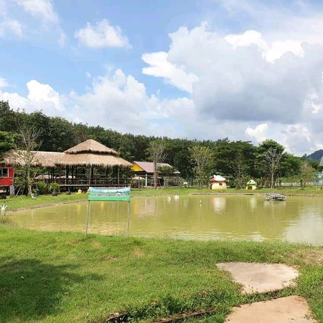Viva Farm จันทบุรี🦌🐗🐮