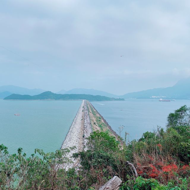 親子好去處：大尾篤行山騎單車撐船仔