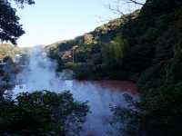 【大分】鬼が沢山👹血の池地獄