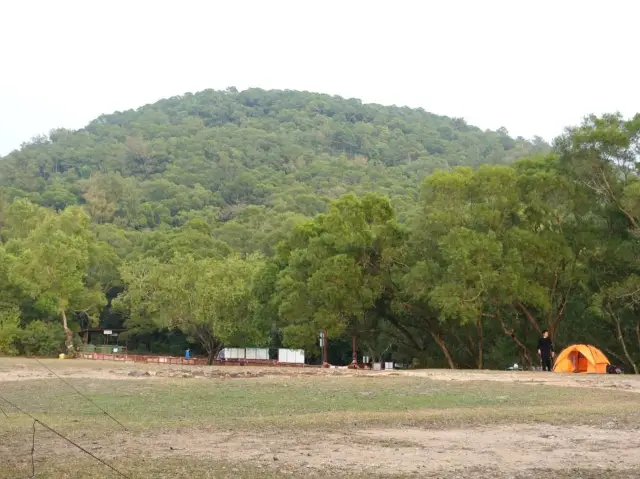西貢灣仔西⭐️ 超大型露營場地⛺️