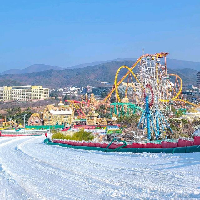 나도 드디어 눈 봤다 ❄ 