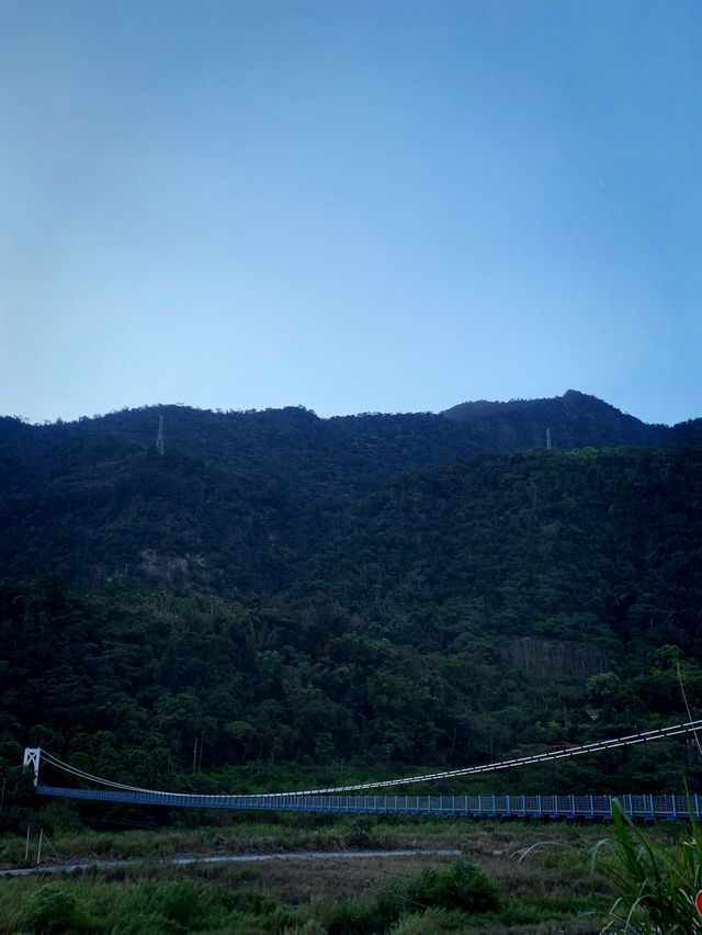 台中谷關極美吊橋｜來白鹿吊橋欣賞山林溪邊之美