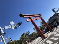 【神奈川・鎌倉】鶴岡八幡宮