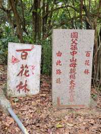 東山象山飛鵝山 