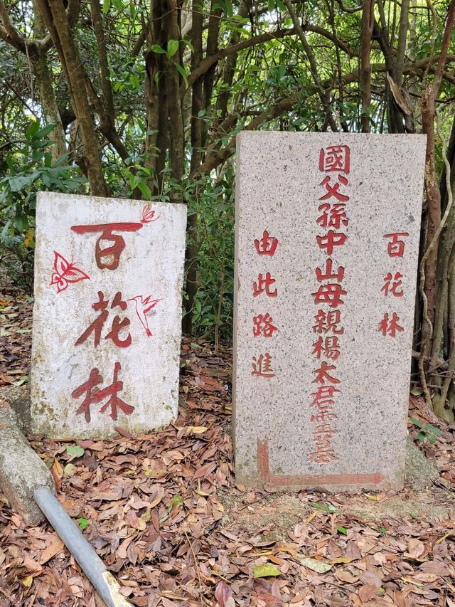 東山象山飛鵝山 