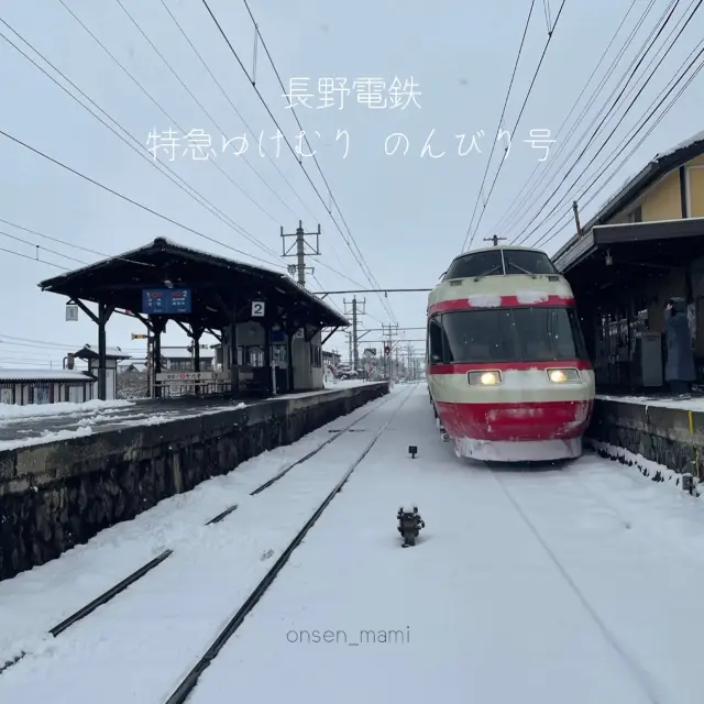 【長野電鉄🚃】特急ゆけむり のんびり号