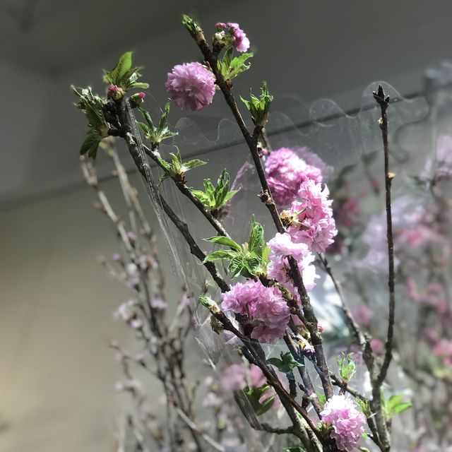 舊式情懷餐廳