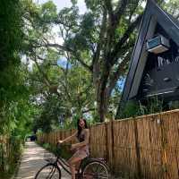 My Cabin by Selah