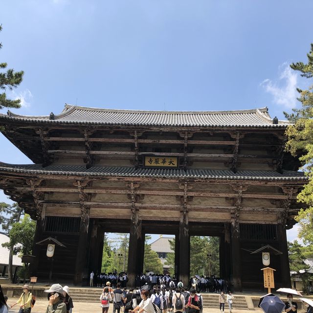 【東大寺・南大門】奈良の中の鎌倉時代