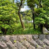 ススキの原 一の湯