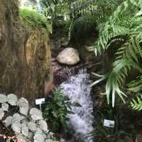 熱帶植物展覽館