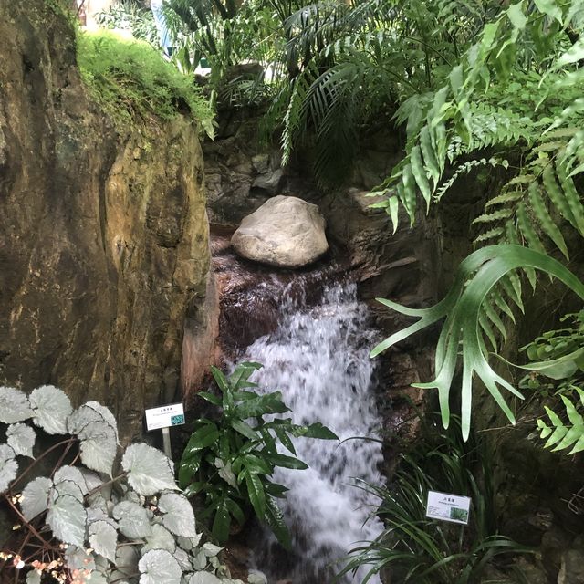 熱帶植物展覽館
