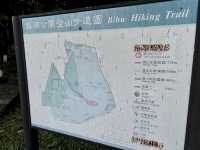 台北碧湖公園散步去｜捷運可以到～還可以順便登頂喔