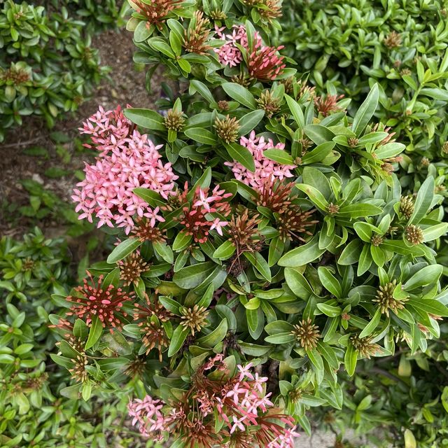 以航海為主題的公園