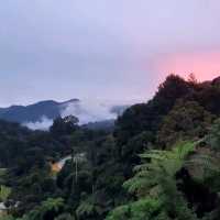 Cameron Highlands 