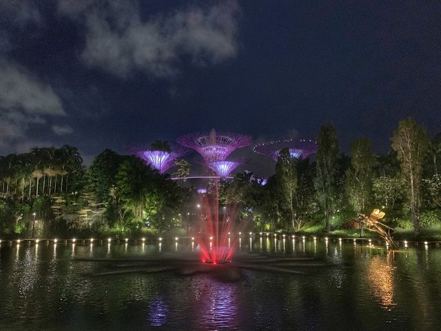 Colorful, Giant “Trees” at Gardens By The Bay