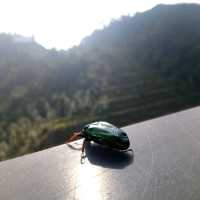 Ghost festival trip to Genting Highland Ion