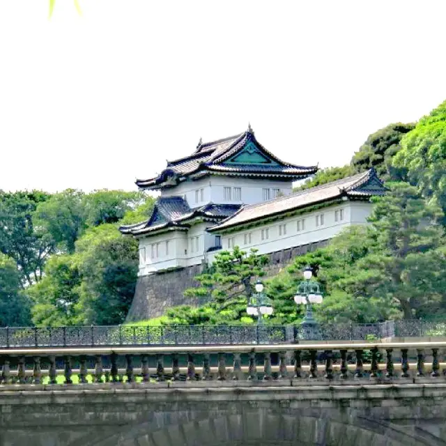 Edo Castle Ruins & Imperial Palace @Tokyo