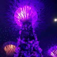 Free things to do in Singapore
