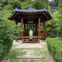 푸릇푸릇🪴숲에서 인생샷 건지기 강릉 오죽헌